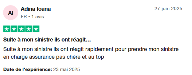 avis positif lemonade