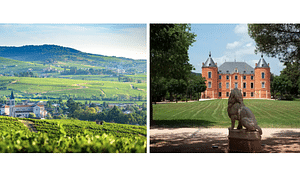Projet Beaujolais Provence - Sollies-Pont (83)